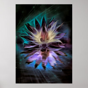 Beautiful Lotus Flower Poster