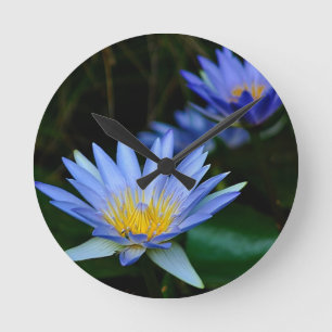 Beautiful lotus flowers and meaning round clock