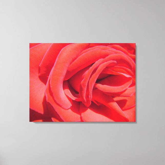beautiful love red rose picture wrapped canvas. canvas print (Front)
