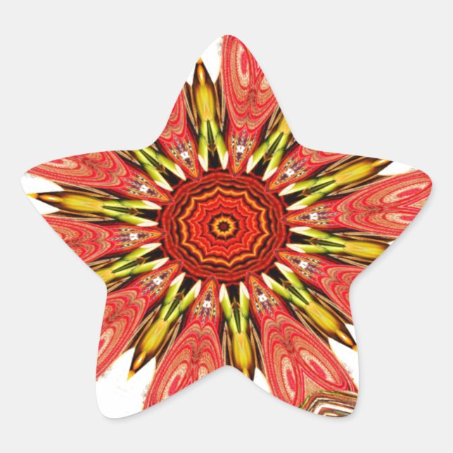 Beautiful Lovely Asian  traditional edgy pattern Star Sticker (Front)