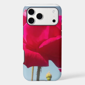 Beautiful Lovely Celestial Rose Red Against Blue