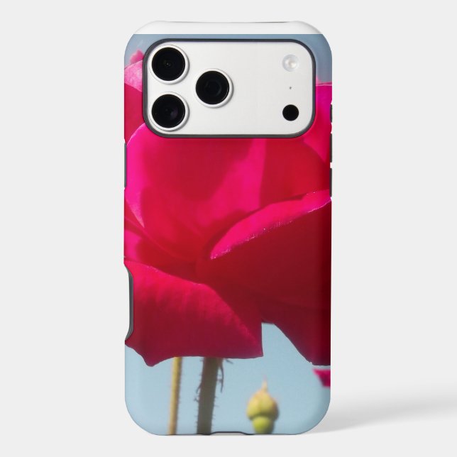 Beautiful Lovely Celestial Rose Red Against Blue  (Back)