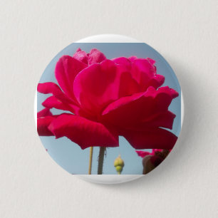 Beautiful Lovely Celestial Rose Red Against Blue 6 Cm Round Badge