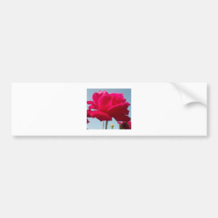 Beautiful Lovely Celestial Rose Red Against Blue  Bumper Sticker