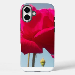 Beautiful Lovely Celestial Rose Red Against Blue iPhone 16 Plus Case