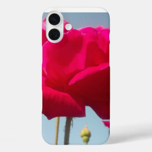 Beautiful Lovely Celestial Rose Red Against Blue iPhone 16 Plus Case