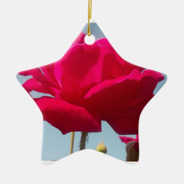 Beautiful Lovely Celestial Rose Red Against Blue  Ceramic Tree Decoration (Front)