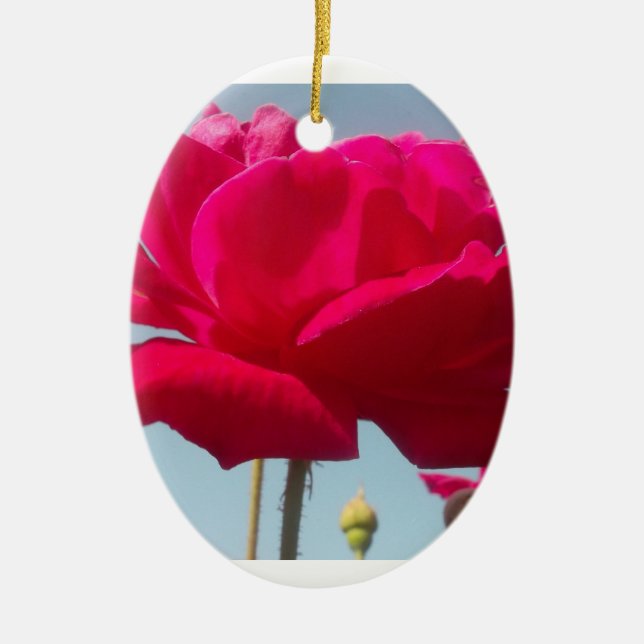 Beautiful Lovely Celestial Rose Red Against Blue  Ceramic Tree Decoration (Front)