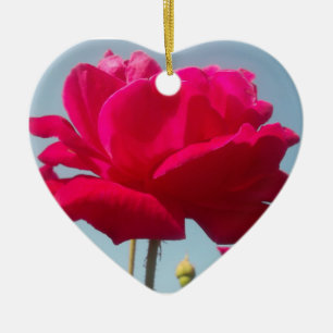 Beautiful Lovely Celestial Rose Red Against Blue  Ceramic Tree Decoration