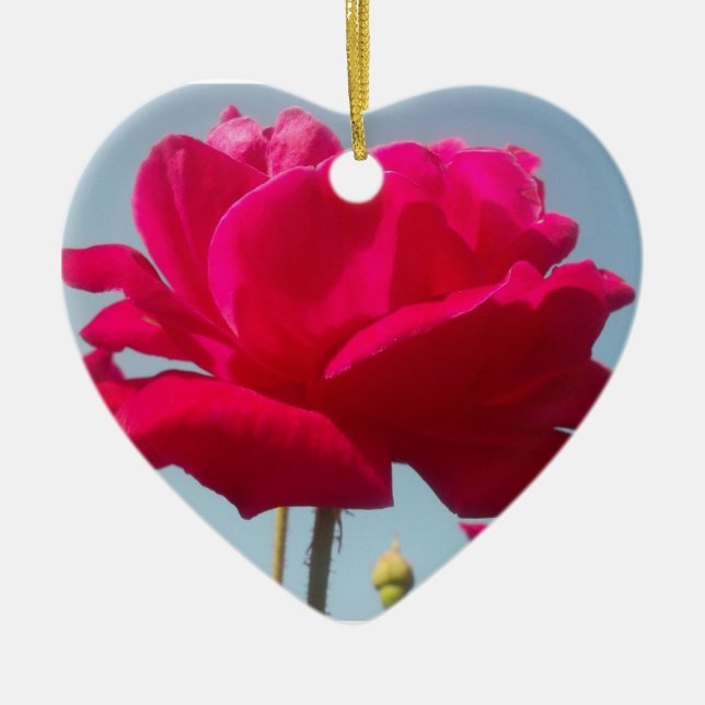 Beautiful Lovely Celestial Rose Red Against Blue  Ceramic Tree Decoration (Front)