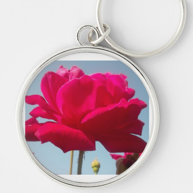Beautiful Lovely Celestial Rose Red Against Blue  Key Ring (Front)