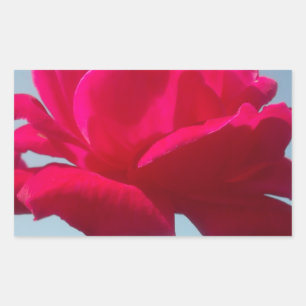 Beautiful Lovely Celestial Rose Red Against Blue  Rectangular Sticker