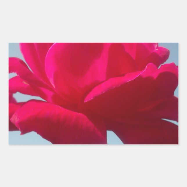 Beautiful Lovely Celestial Rose Red Against Blue  Rectangular Sticker (Front)