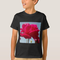 Beautiful Lovely Celestial Rose Red Against Blue