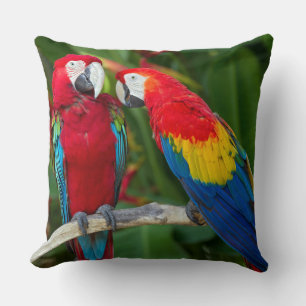 Beautiful Macaw Couple Throw Pillow