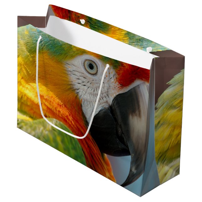 Beautiful Macaw Large Gift Bag (Front Angled)