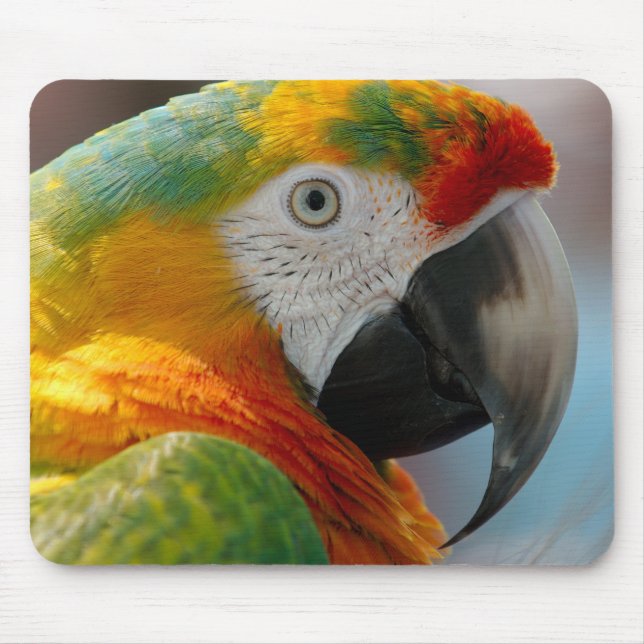 Beautiful Macaw Mouse Mat (Front)