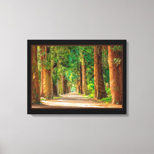 Beautiful Magic Spring Forest Canvas Print