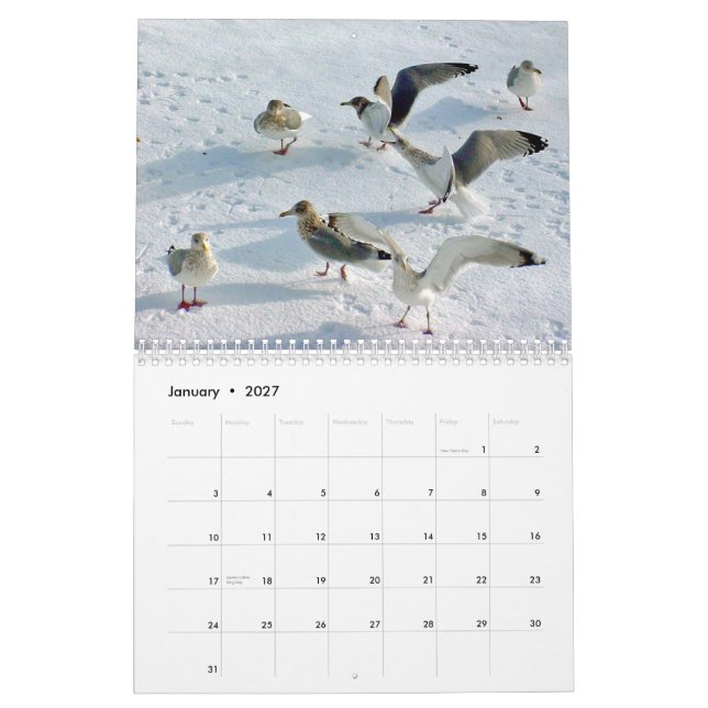 Beautiful Maine Coast Calendar (Jan 2027)