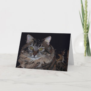 Beautiful Maine Coon Cat Greeting Card