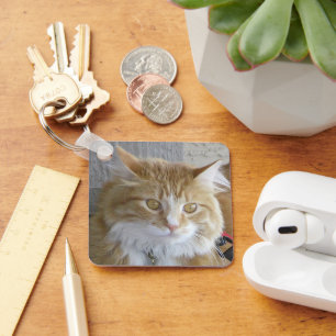 Beautiful Maine Coon Kitten Photograph Key Ring
