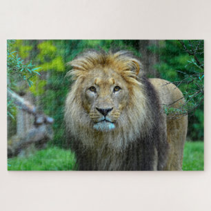 Beautiful Majestic Lion in Jungle Jigsaw Puzzle
