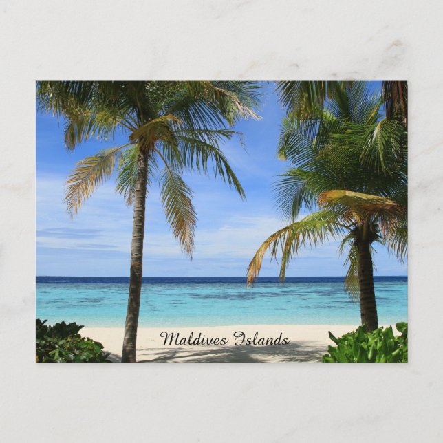 Beautiful Maldives Islands Postcard (Front)