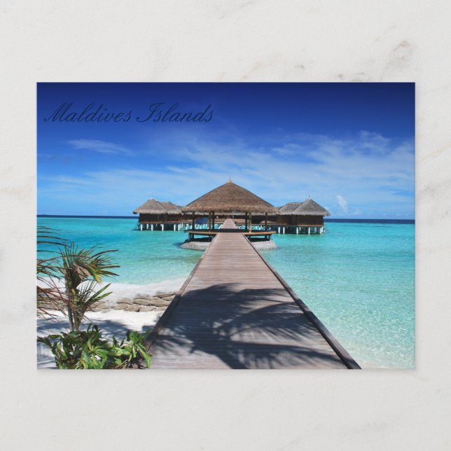 Beautiful Maldives Islands Postcard (Front)