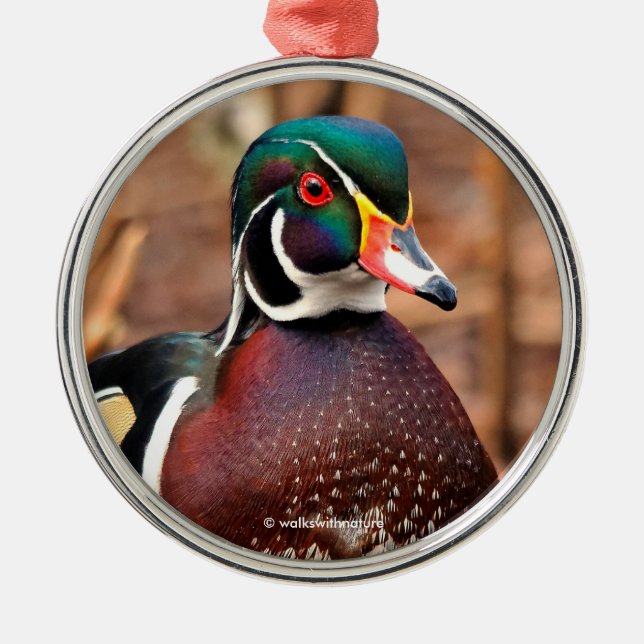 Beautiful Male Wood Duck in the Woods Metal Tree Decoration (Front)