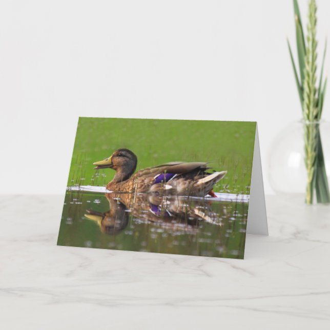 Beautiful Mallard Duck Father's Day Card (Front)