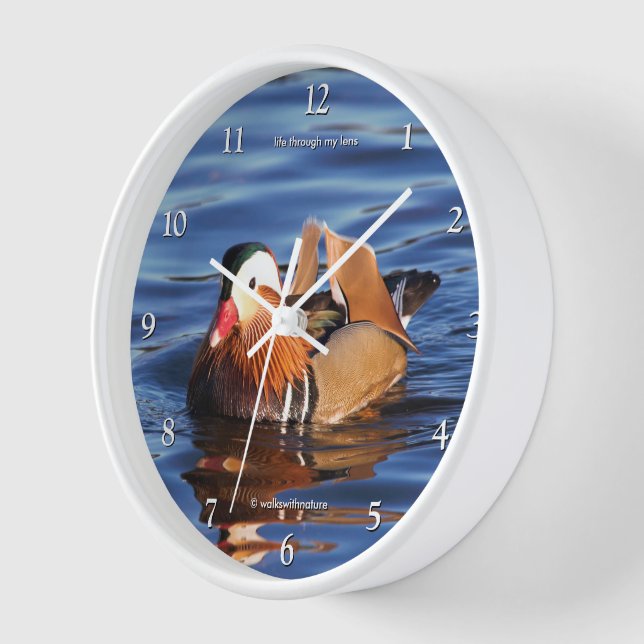Beautiful Mandarin Duck at the Pond Clock (Angle)