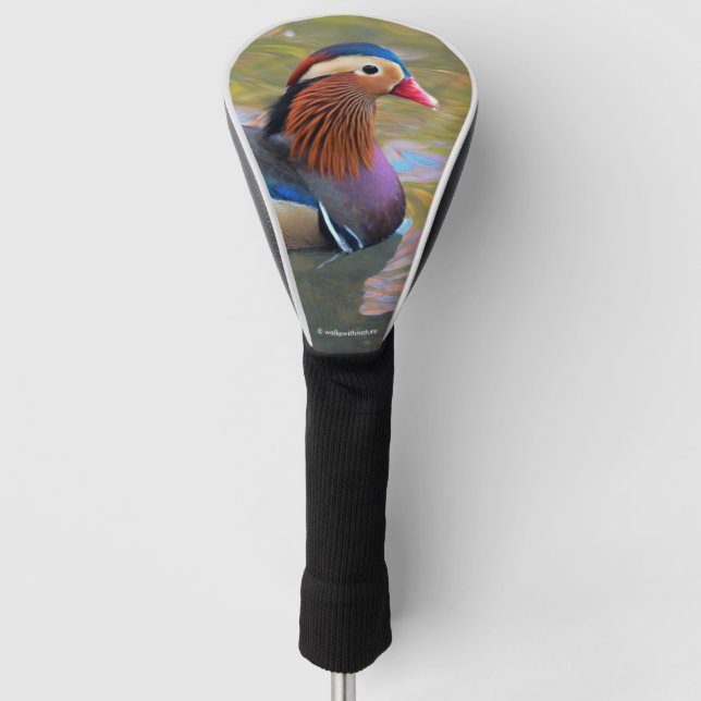 Beautiful Mandarin Duck in the Pond Golf Head Cover (Front)