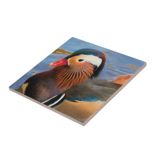 Beautiful Mandarin Duck in the Pond Tile (Side)
