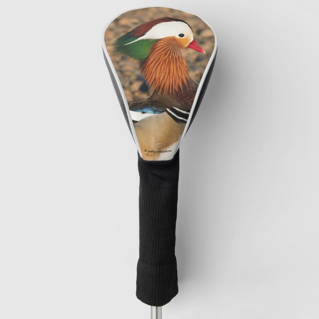 Beautiful Mandarin Duck on the Rocks Golf Head Cover (Front)