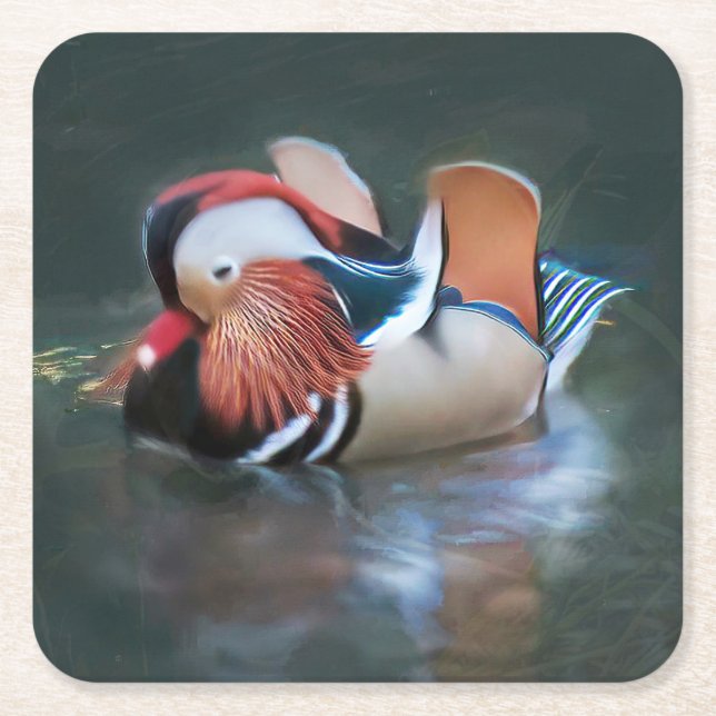 Beautiful Mandarin Duck Paper Coaster (Front)