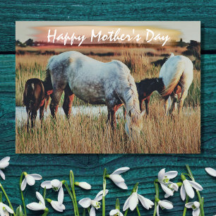 Beautiful Mares and Foals Horse Scene Mother's Day Card