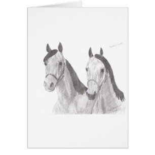 Beautiful Mares Horse Drawings
