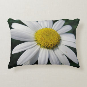 Beautiful Margerita Decorative Cushion