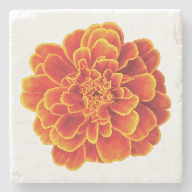 Beautiful Marigold Stone Coaster (Front)