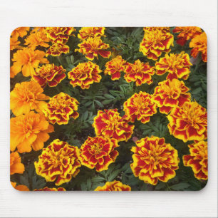 Beautiful Marigolds Mouse Mat