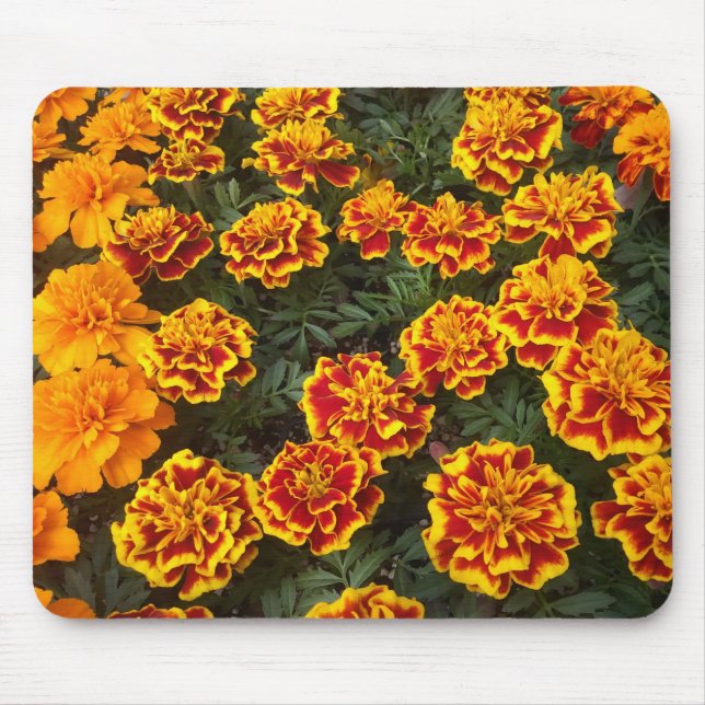 Beautiful Marigolds Mouse Mat (Front)