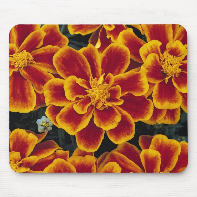 Beautiful Marigolds Mouse Mat (Front)