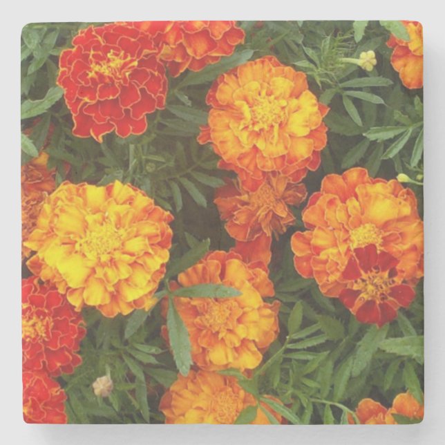 Beautiful Marigolds Stone Coaster (Front)