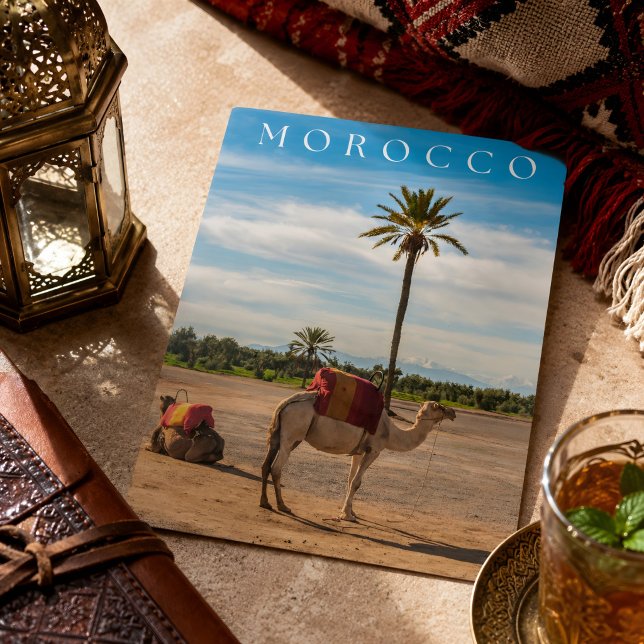 Beautiful Marrakech Camel Desert Adventure Holiday Postcard (Morocco's Postcard. )