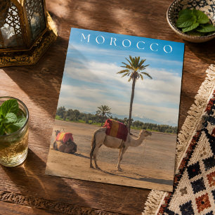 Beautiful Marrakech Camel Desert Adventure Postcard