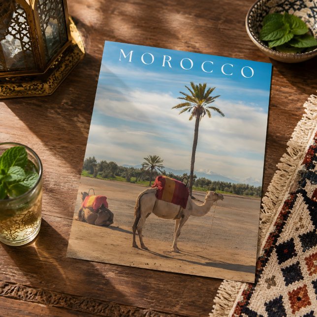 Beautiful Marrakech Camel Desert Adventure Postcard (Creator Uploaded)
