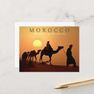 Beautiful Marrakesh Sunset Morocco Desert Postcard