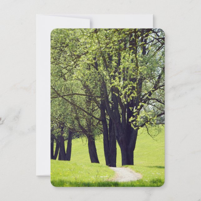 Beautiful Meadow (Front)