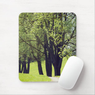 Beautiful Meadow Mouse Mat
