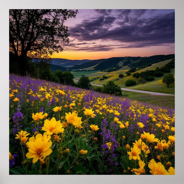 Beautiful Meadow with Vibrant Flowers at Sunrise Poster (Front)